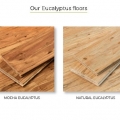 Eucalyptus Flooring