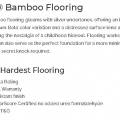 Fossilized Bamboo Flooring  